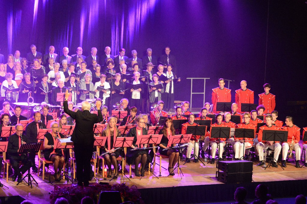 ../Images/Jubileumconcert 100 jaar Harpe Davids 036.jpg